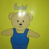 Éadaí Naíonáin CD-Rom
